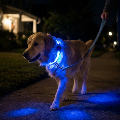 Glow Guard™ LED Safety Collar