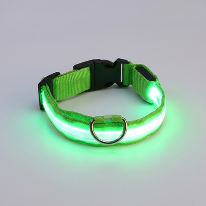 NightBeam™ LED Safety Collar