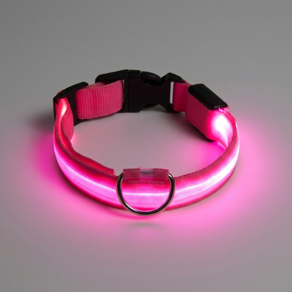NightBeam™ LED Safety Collar