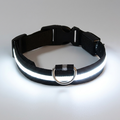 NightBeam™ LED Safety Collar