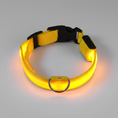 NightBeam™ LED Safety Collar