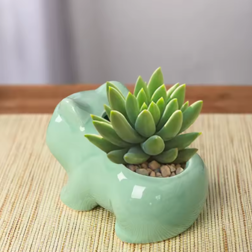 Bulbasaur Mini Flower Pot